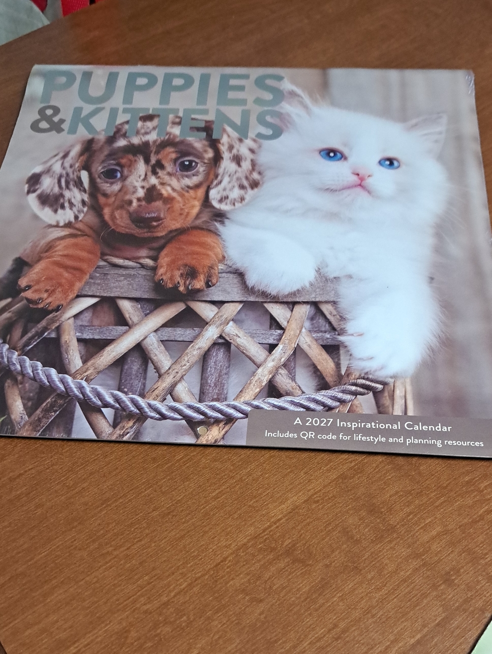 2027 Puppies & Kittens Calendar